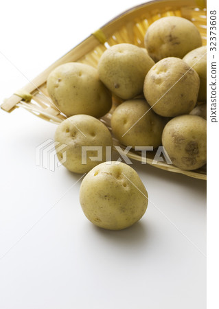 新瑜伽小馬鈴薯6 新瑜伽小馬鈴薯6 32373608