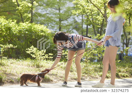 年輕的女人 年輕的女人 32374275