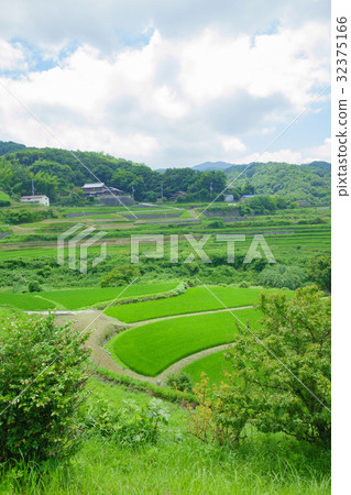 Rice terraces 32375166