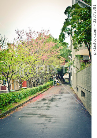 桃園市中壢區中原大學31 32375381