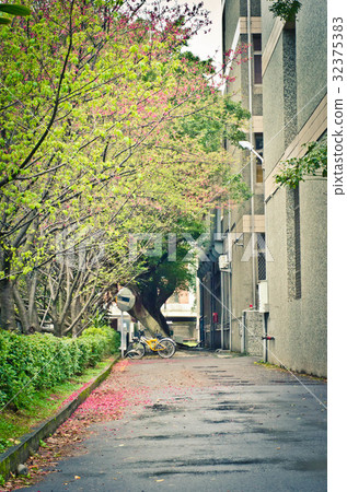 桃園市中壢區中原大學33 32375383