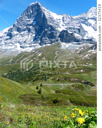 Takayama plant and eye view Takayama plant and eye view 32375419