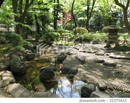 春天的高橋聖城紀念公園(日式花園),擁有美麗的綠色植物 春天的高橋聖城紀念公園(日式花園),擁有美麗的綠色植物 32375615