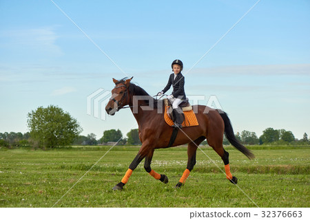 Little girl riding a horse Little girl riding a horse 32376663