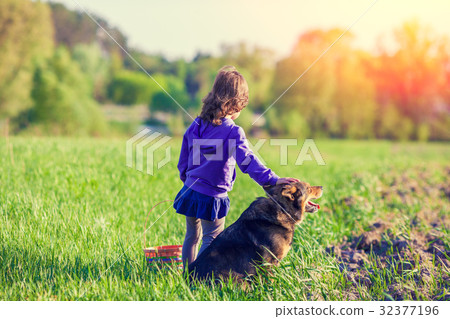 Happy little girl playing with dog on the field Happy little girl playing with dog on the field 32377196