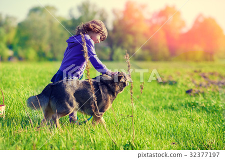 Happy little girl playing with dog on the field Happy little girl playing with dog on the field 32377197