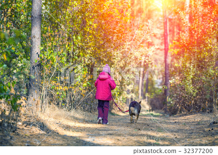 Little girl walking with a dog on a dirt road 32377200