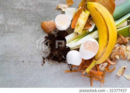 Organic waste to make compost 32377437