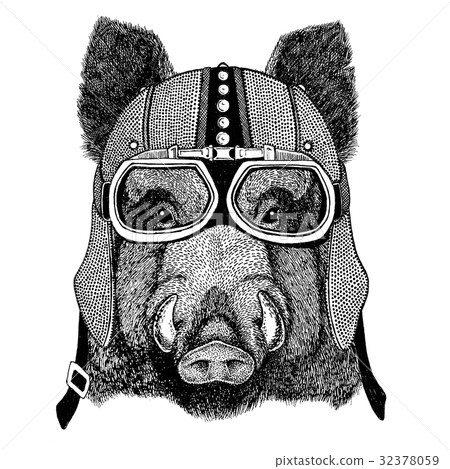 Aper, boar, hog, hog, wild boar Motorcycle, biker 32378059