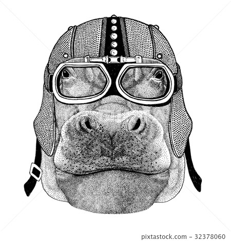 Hippo, Hippopotamus, behemoth, river-horse 32378060