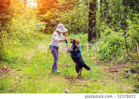 Little girl schooling dog outdoor in a forest 32378072