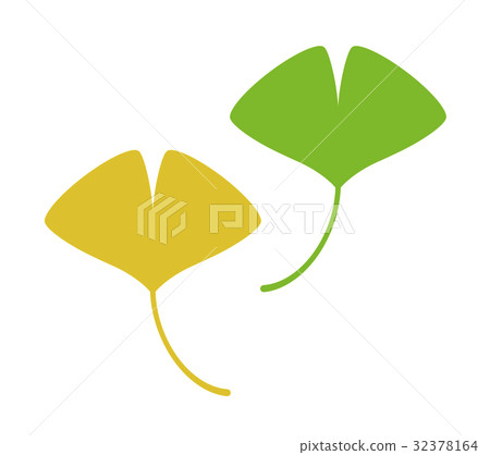 Green and yellow ginkgo biloba 32378164