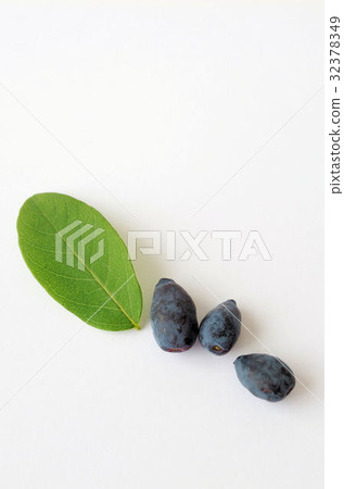 Fruits of Hasks Cup 32378349