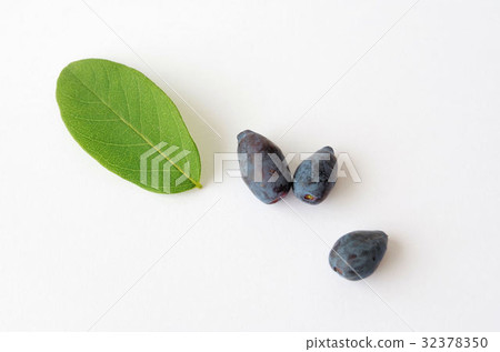 Fruits of Hasks Cup 32378350