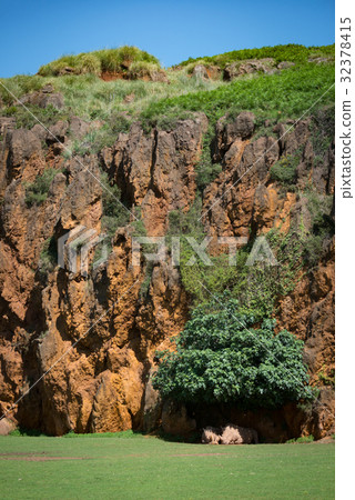 White rhinoceros lying at foot of cliff White rhinoceros lying at foot of cliff 32378415