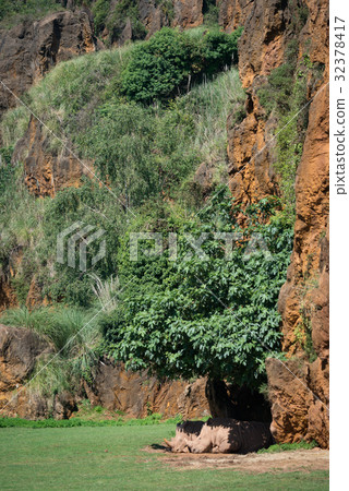 White rhinoceros lying in shade beneath cliff White rhinoceros lying in shade beneath cliff 32378417