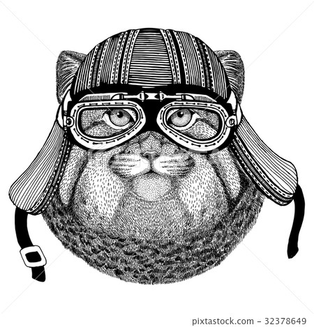 Wild cat Manul Wild animal wearing biker 32378649
