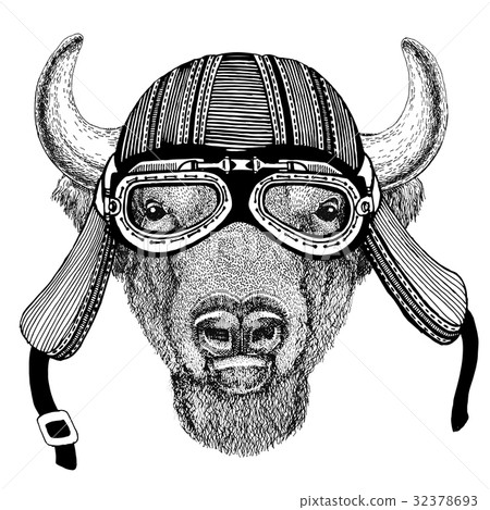 Buffalo, bison,ox, bull Wild animal wearing biker - Stock Illustration  [32378693] - PIXTA