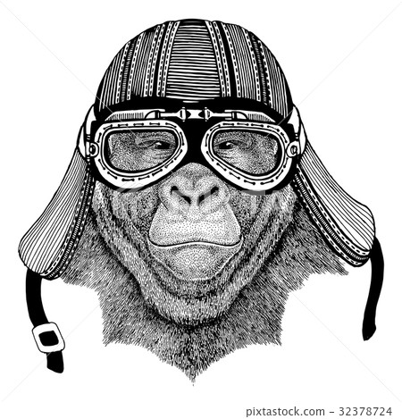 Gorilla, monkey, ape Frightful animal Wild animal 32378724