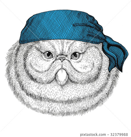 Portrait of fluffy persian cat Wild animal wearing Portrait of fluffy persian cat Wild animal wearing 32379988