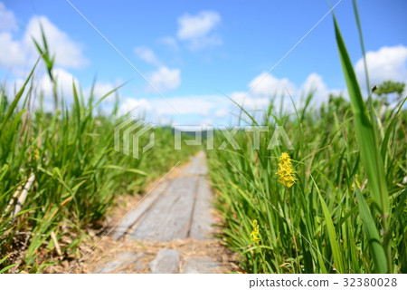 Tashihira Mizuhara的Kinkoka Tashihira Mizuhara的Kinkoka 32380028