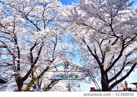 Senbonmatsu Ranch 32380050