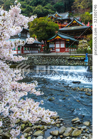 Yukinori Inagi Shrine's Sakura Saga 32380746