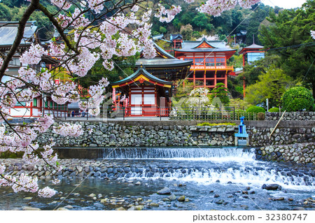 Yukinori Inagi Shrine's Sakura Saga 32380747
