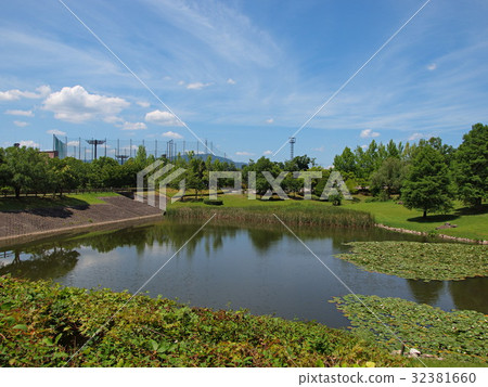 猴子體育公園調整池塘在初夏 32381660