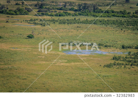 Aerial picture of the Okavango Delta. 32382983