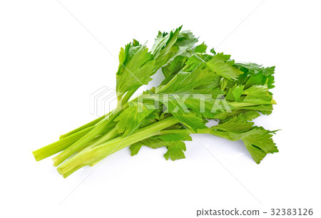Celery isolated on white background 32383126