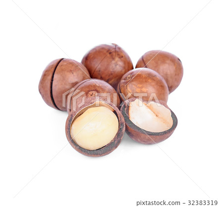 Macadamia nut on white background 32383319
