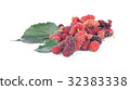 fresh organic mulberries with green berry on white 32383338