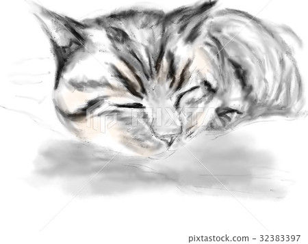 貓的插圖 32383397