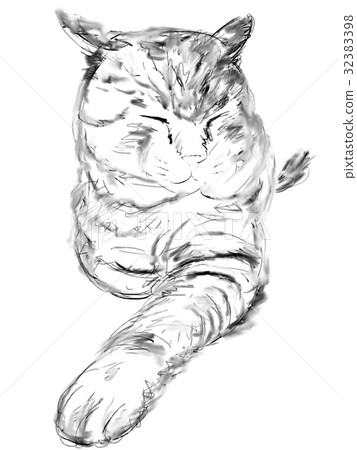 貓的插圖 貓的插圖 32383398