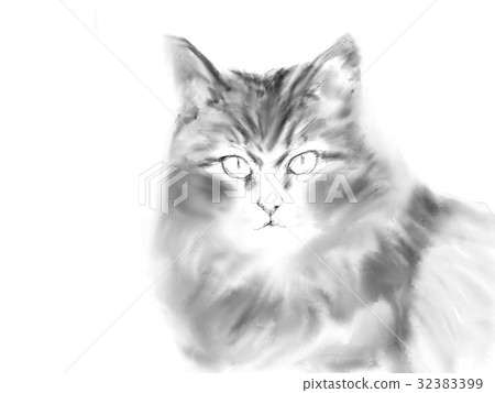 貓的插圖 貓的插圖 32383399