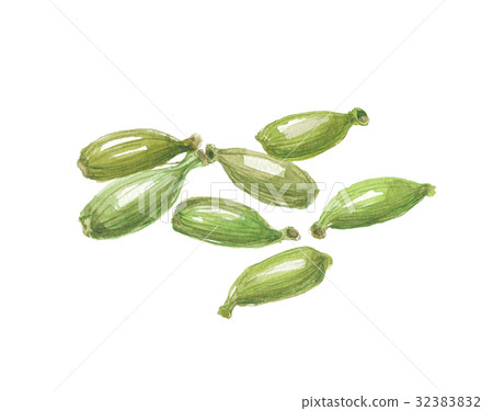 cardamom 32383832