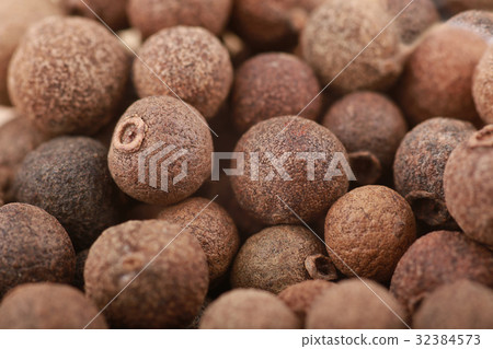 allspice 32384573
