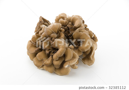舞茸蘑菇 32385112