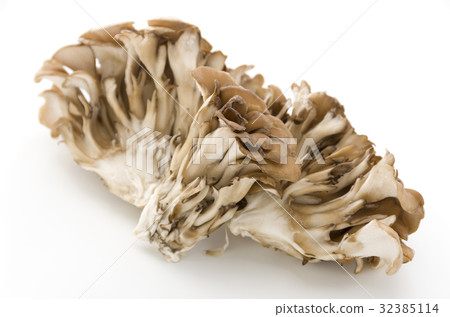 Miyake Miyake 32385114