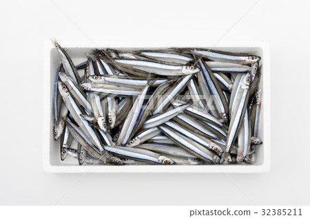 Kibinago(冷凍) Kibinago(冷凍) 32385211