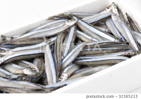 Kibinago(冷凍) Kibinago(冷凍) 32385213