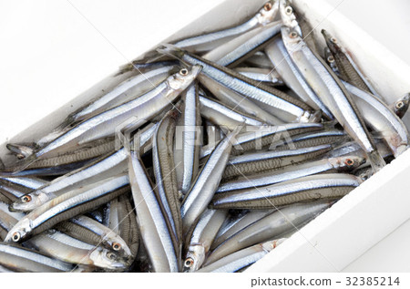 Kibinago (frozen) Kibinago (frozen) 32385214