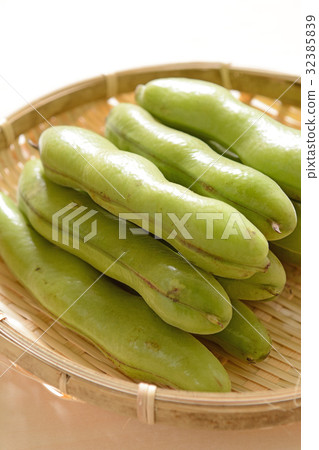 美味的幼蟲 32385839