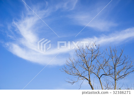 Clear sky 32386271