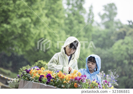 姐姐在一個下雨天觀察花 姐姐在一個下雨天觀察花 32386881