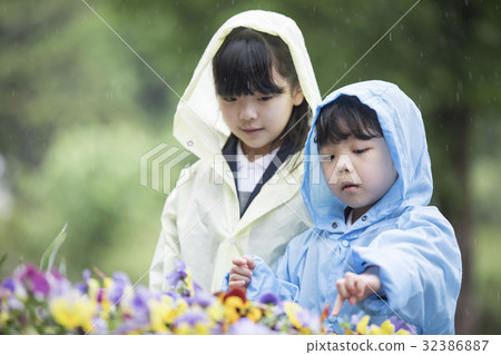 姐姐在一個下雨天觀察花 姐姐在一個下雨天觀察花 32386887