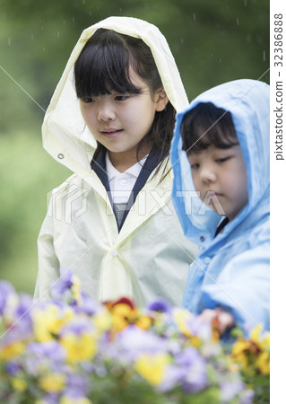 姐姐在一個下雨天觀察花 姐姐在一個下雨天觀察花 32386888