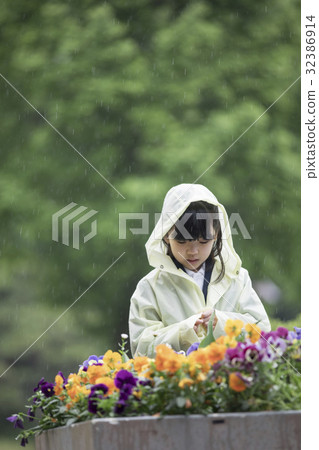 小學學生觀察花在一個雨天 32386914