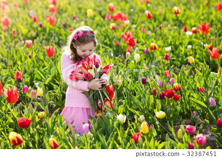Little girl in tulip flower garden Little girl in tulip flower garden 32387451